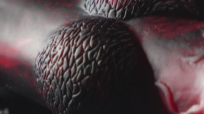 Thrusting K9 Dildo Thick Fantasy Dragon Monster Dildos 8.7" G-Spot Vibrator Adult Sex Toys Thrusting K9 Dildo Thick Fantasy Dragon Monster Dildos 8.7" G-Spot Vibrator Adult Sex Toys