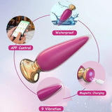 App- und ferngesteuertes Anal-Po-Vibrator-Prostata-Massagegerät 