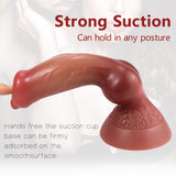 Realistic Dog Dildo Liquid Silicone Canine Dildos with Suction Cup
