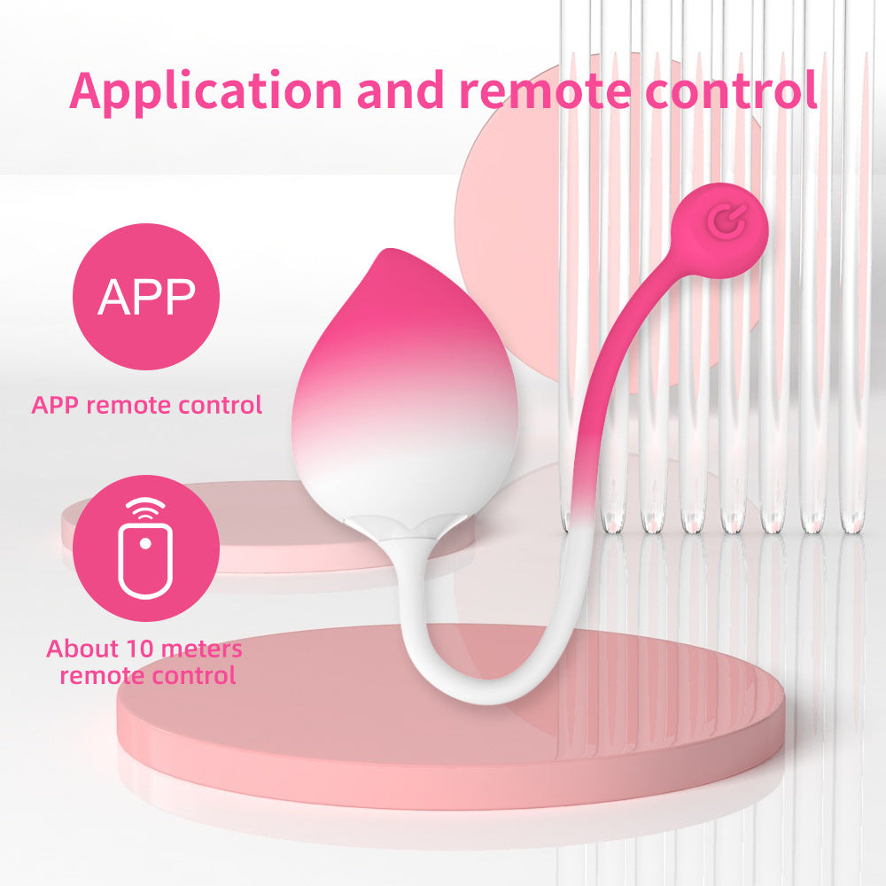 9 Vibrations Wearable Peach Shape Vibrator APP Remote Control Panty Vibrator