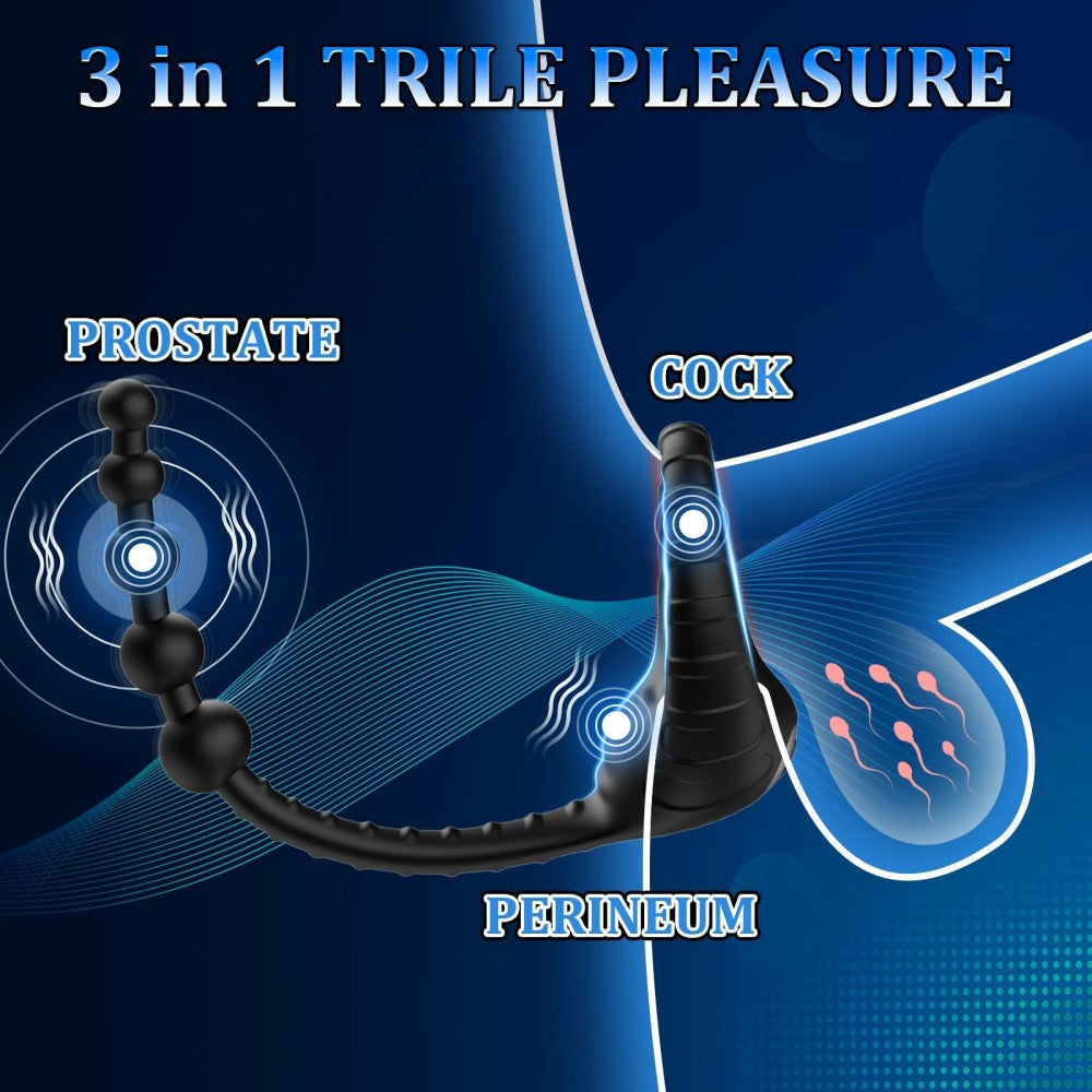 3 in 1 Silicone Penis Ring with 10 Vibration Remote Control Male Penis & Anal Prostate Vibrator Anal Toys for Men Gay Play