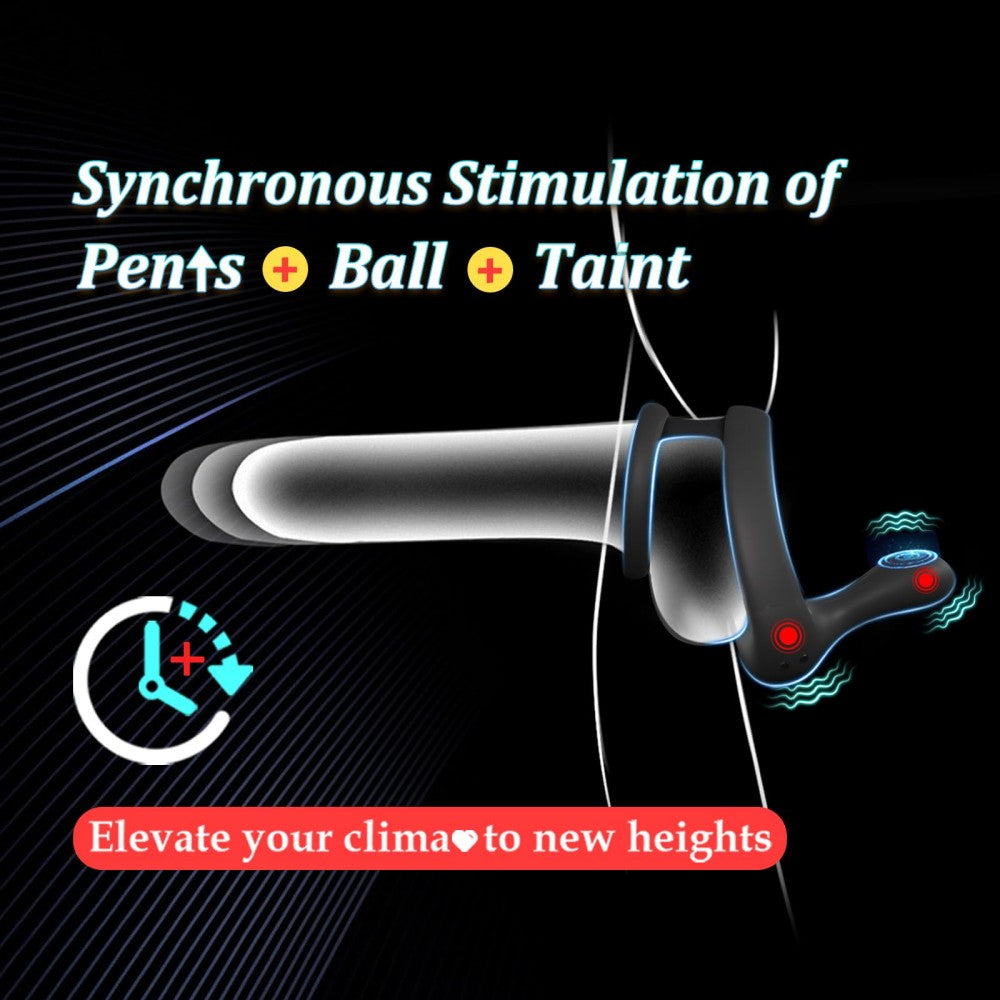 Dual Motors 9 Vibrations Remote Control Male Couple Sex Toy Cock Rings Vibrators for Men