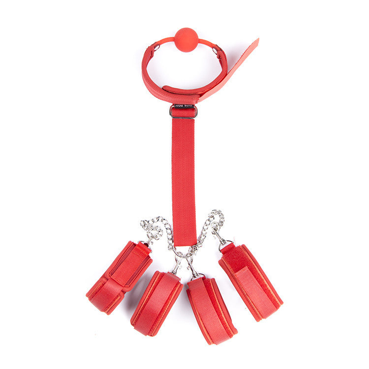 Sex Tools Neck to Collar Gag Dog Style